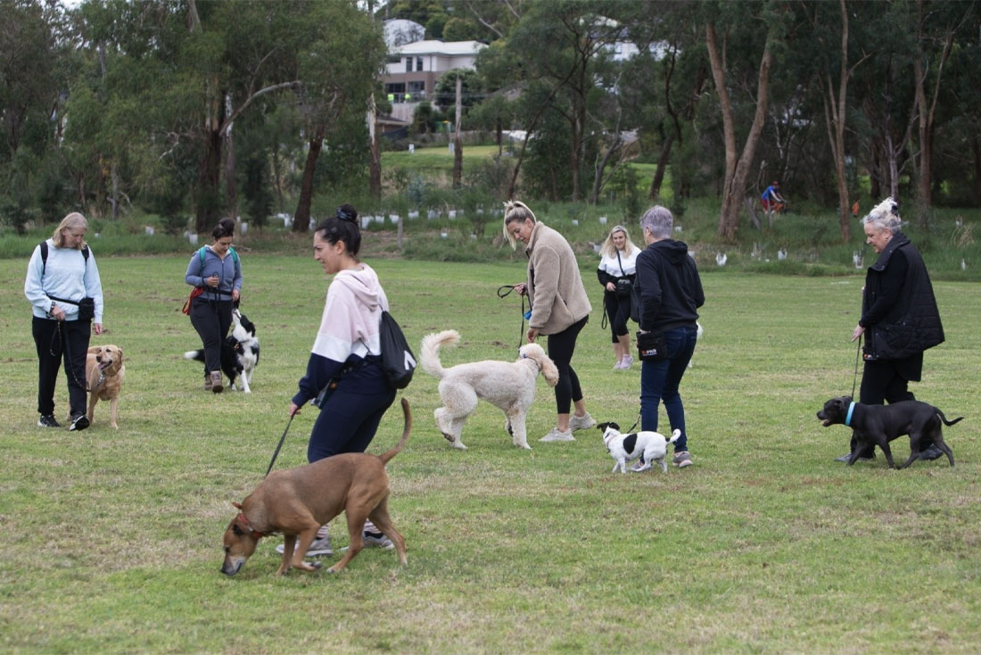 Group-Training