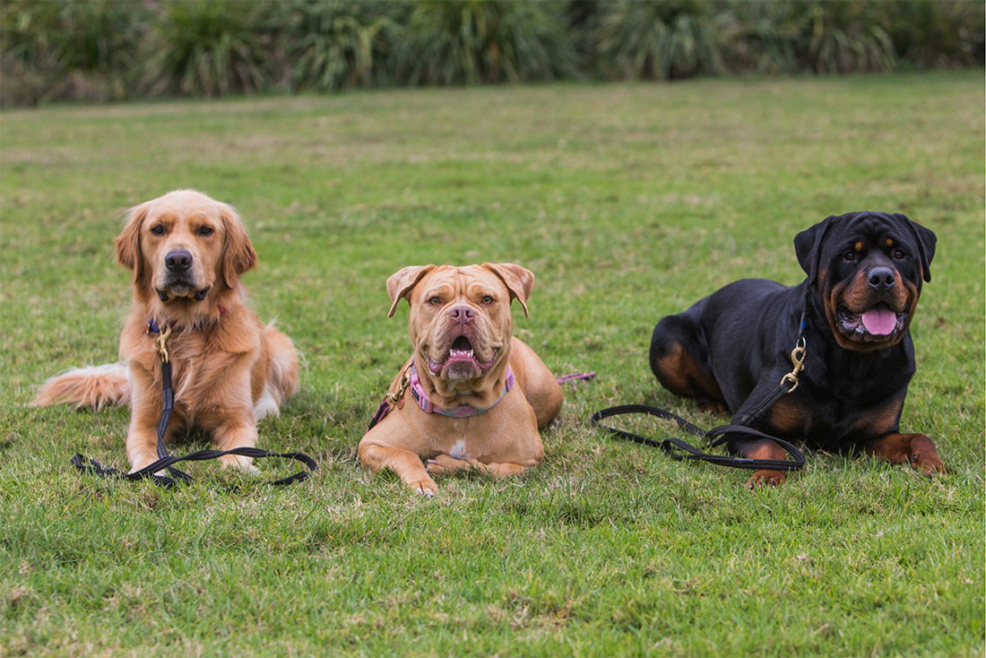 Group-Training